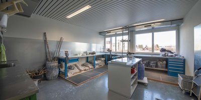 ORTHO-TEAM Luzern AG